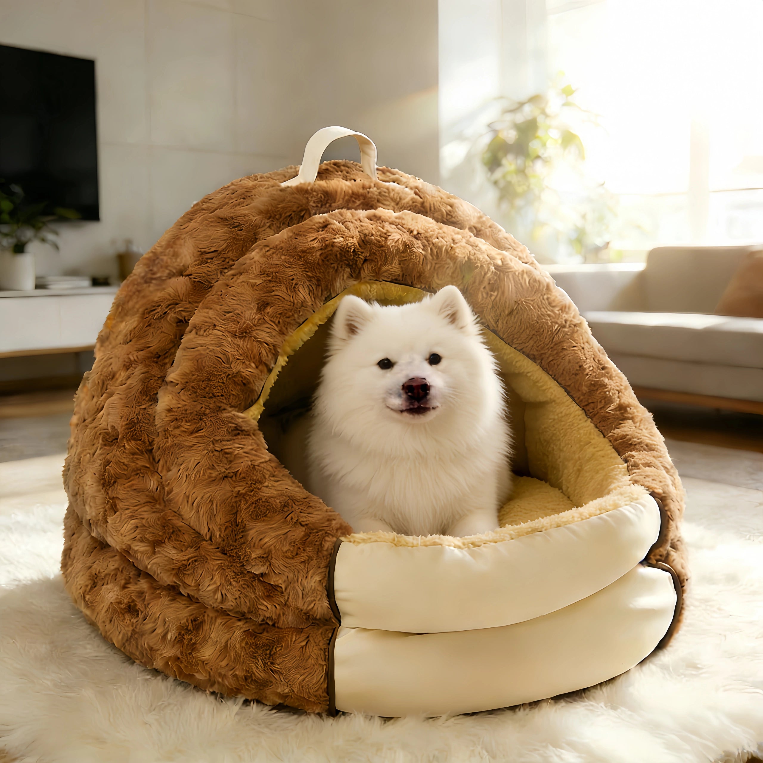 Pettami Semi-Enclosed Dog Bed, Washable Cover for Small and Medium Dogs, M and L Sizes