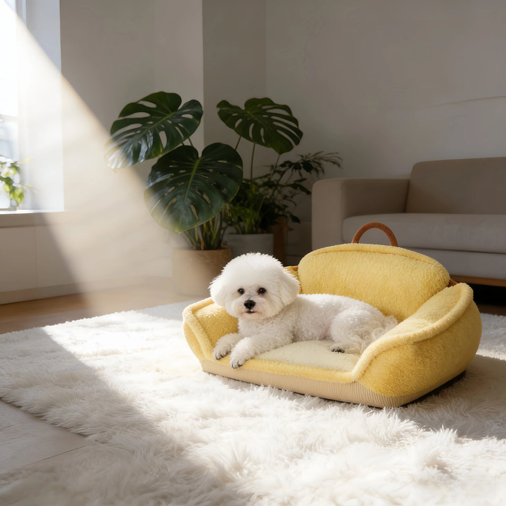 Pettami Washable Dog Bed with Transformable Sofa Design, Thick Padding for Small Dogs, M Size