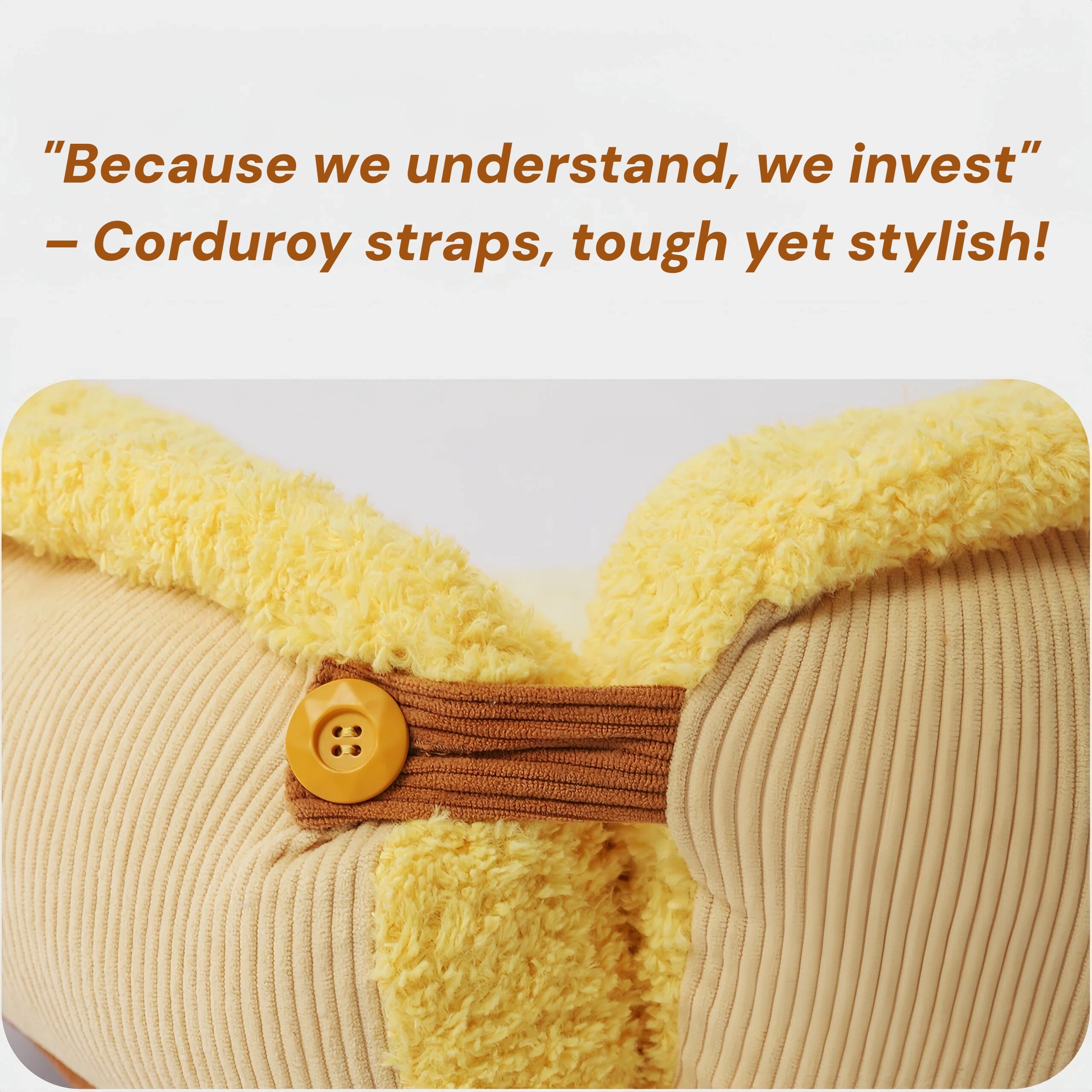 Pettami Washable Dog Bed with Transformable Sofa Design, Thick Padding for Small Dogs, M Size